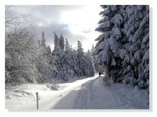 kleinneundorf_ausflugsziele008004.jpg